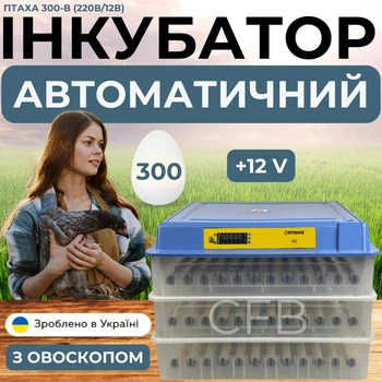 Автоматичний інкубатор на 300 яєць Птаха 300-В (220В/12В) з живленням 2в1 з роликовою системою перевороту та овоскопом