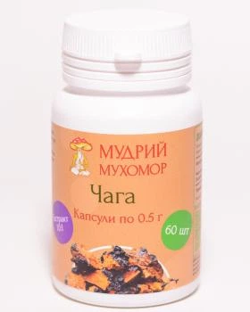 Чага березовая Мудрый Мухомор экстракт 10:1 капсулы по 0.5 г 60 шт (4agaExtraktK60)