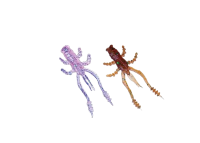 Силиконовая приманка Crazy Fish Crayfish 1.8" 26-45-M67-6 кальмар,26-45-M67-6
