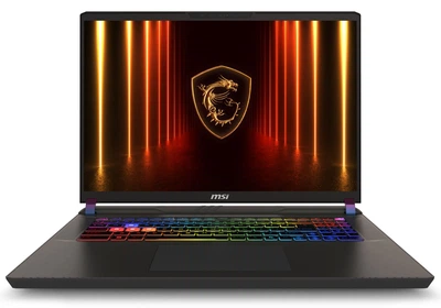 Ноутбук MSI Vector 17 HX AI A2XWJG (A2XWJG-042UA, 9S7-17S372-042) Cosmos Gray