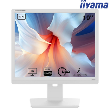 Монитор iiyama B1980D-W5 универсальный TN 1280x1024 SXGA 19" / 4W