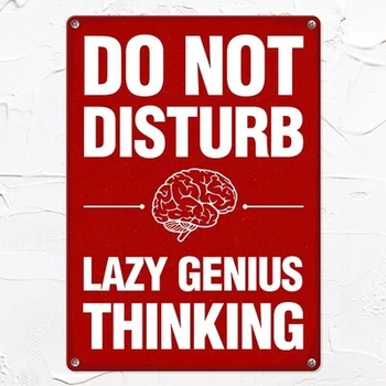 Металлическая табличка Do not disturb Lazy genius thinking (MET_20J022_WH) TM Presentville