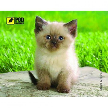 Игровая поверхность Pod Mishkou Сиамский котик