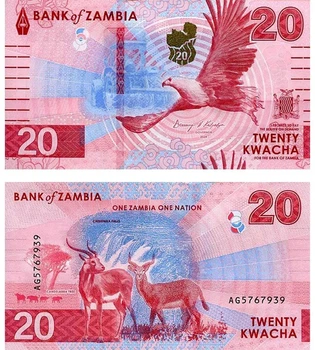 Банкнота Замбія 20 квач 2024 (2025) рік UNC