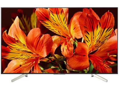 Телевізор Sony KD-55XF8599