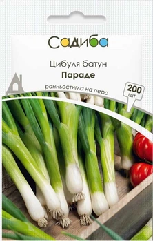 Семена лука на перо Параде 200 шт, Bejo Zaden