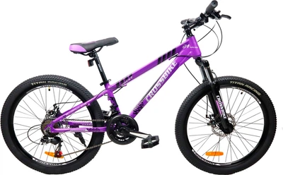 Велосипед CrossBike Everest 26" 13" Фиолетовый (26CJPr-004417)