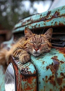Фото листівка Cardsforsoul Сієста на залізі 10,5 Х 14,8 см