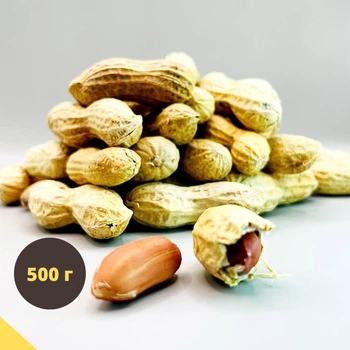 Арахис в скорлупе 500 г орех натуральный без соли Peanut shell (Pea-shell-А-500)