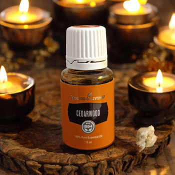 Ефірна олія Кедр / Cedarwood 15 мл 07094