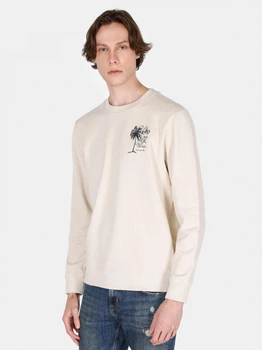 Свитшот мужской Colin's CL1069947BEI L Beige с принтом (8684112608105)