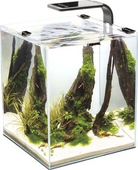 Акваріумний набір AquaEl Shrimp Set Smart Day&Night 30 Black (5905546326230)