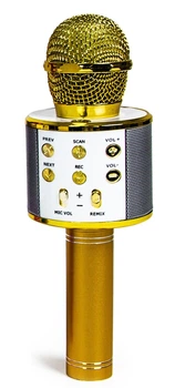 Беспроводной микрофон-караоке Wster, MP3, Bluetooth. Gold (658826011)