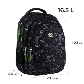 Рюкзак школьный GoPack Teens GO25-162M-6
