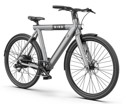 Rower elektryczny BIRD Urban 1.0 M22 28 cali Szary (0810029161916)