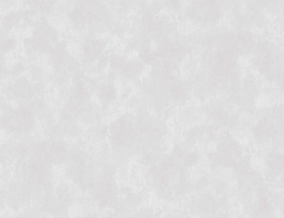 Шпалери Status 411ST10 1,06x10,05 м