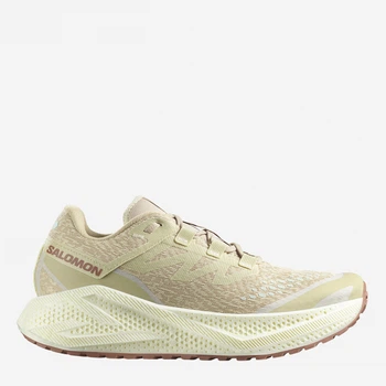 Мужские кроссовки для бега Salomon Aero Glide 3 Grvl L47797300 46 (11.5US/11UK) 29.5 см Бежевые (195751943918)
