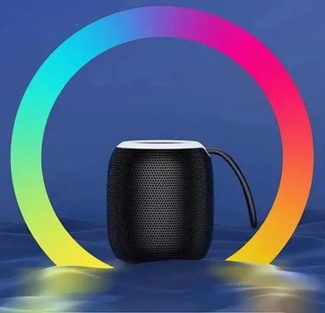 Портативная Bluetooth колонка SH 309 BT 100 Вт с мощным звуком и басами