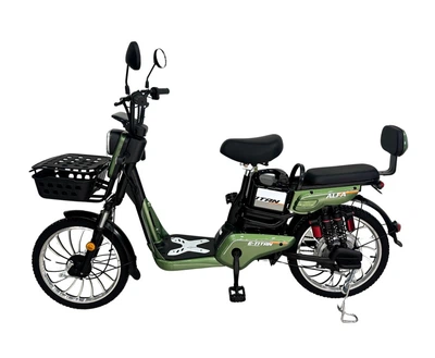 Электроскутер E-Titan Alfa 20" Green
