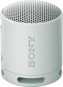 Акустична система Sony SRS-XB100 Light Grey (4548736146136)