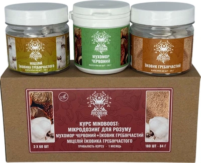 Курс Лісовик MindBoost 1 місяць (LIS-470002)