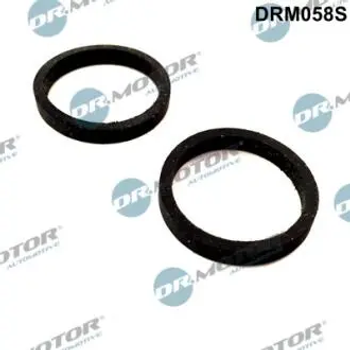 Комплект прокладок Dr.Motor (DRM058S)