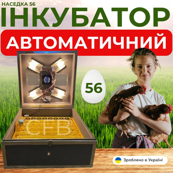 Инкубатор для яиц Наседка 56 с атоматическим переворотным механизмом и ламповым нагревателем