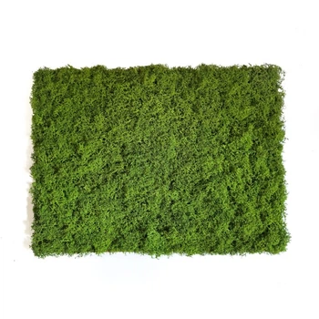 Панно из стабилизированного мха Зеленое 30×40 см