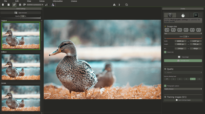 Ashampoo ZOOM 3 — довічна ліцензія для 1 ПК (Windows 10/11 x64)