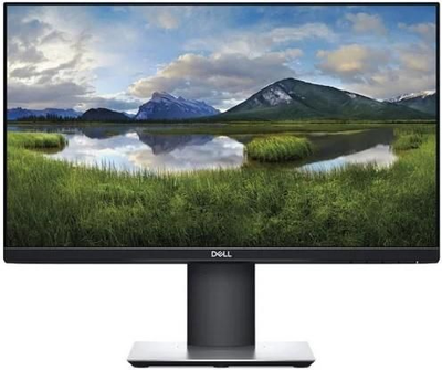 Монитор Dell 23,8" P2419H (210APWU)
