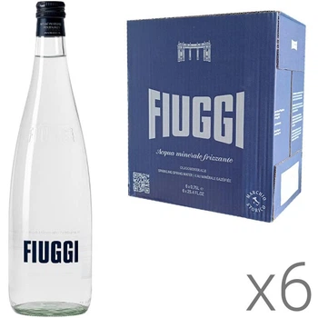 Упаковка газированной минеральной воды Fiuggi Sparkling, 6 шт. х 0,75 л, стекло