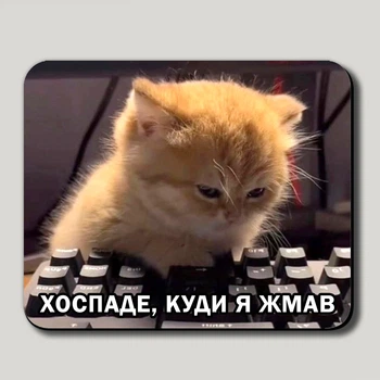 Геймерський килимок для миші "Хоспаде, куди я жмав" 22x18 см