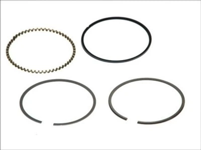 Поршневые кольца MAHLE (011 08 N0)