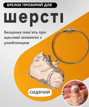 Прозрачный аксессуар - брелок контейнер для кошачьей шерсти на руку, ошейник, память Сидячий кот