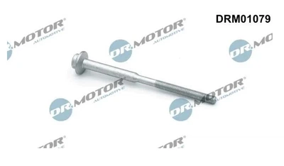 Болт кріплення форсунки Dr.Motor (DRM01079)