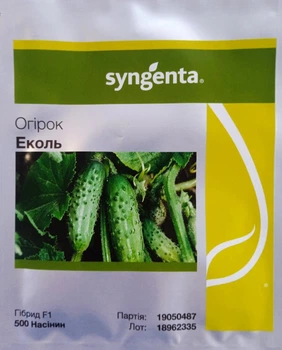 Семена Огурец Эколь F1 500 шт Syngenta