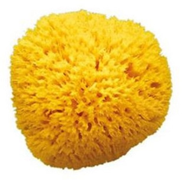 Натуральна губка Ok Baby Honeycomb 10 (38471000)