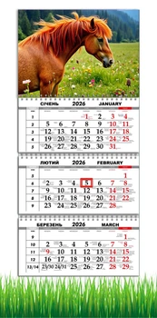 Календарь настенный квартальный на 2026 год на три пружины, Apriori, год Лошади, Лошадь, символ года Лошадь, Horses , 29,7х61см , 17 вид