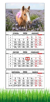Календар настінний квартальний на 2026 рік на три пружини , Apriori, рік Коня, Кінь, символ року Кінь,Horses , 29,7х61см , 21 вид