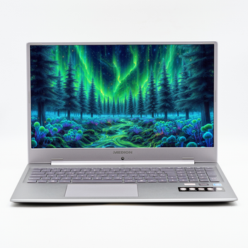 Ноутбук 17,3" Medion (Lenovo Group) Akoya E17201 Intel RAM 8 ГБ SSD 512 ГБ Intel Graphics Метал FullHD IPS б/в Win10 (4411)