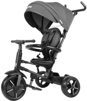 Rowerek trójkołowy Qplay Rito Star Black (5061047480236)