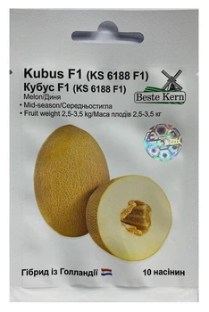 Насіння Диня Кубус F1 (KS 6188 F1) 10 насінин, Beste Kern