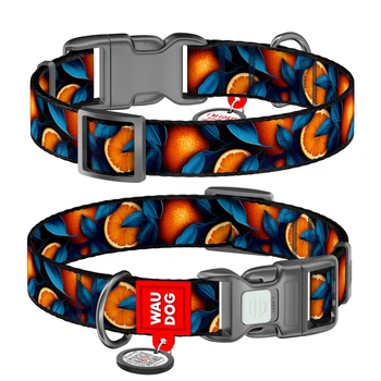 Нашийник WAUDOG Nylon з QR адресником, пластикова пряжка-фастекс "Апельсин" L (4823089375816)