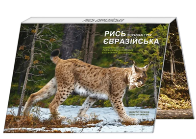 Монета 5 гривень Рись євразійська у сувенірному пакованні. Чорнобиль. Відродження