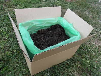 Набір для вирощування печериць Дари Природи королевського коричневого 10 кг