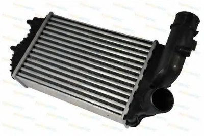 Інтеркулер Thermotec (DAF001TT)