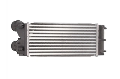 Интеркулер THERMOTEC DAP002TT Citroen C4, Berlingo; Peugeot 3008, 5008, 308, Partner 0384L4