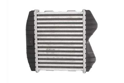 Интеркулер THERMOTEC DAM012TT Smart Fortwo