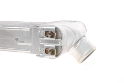 Радіатор інтеркулера Ford Transit 2.4DI 00- - 18004406 VAN WEZEL
