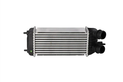 KALE CITROEN Інтеркулер Jumpy,Fiat Scudo,Peugeot Expert,Toyota 1.6HDI 07- KALE (344895)